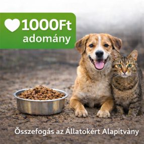 Adomány 1000FT