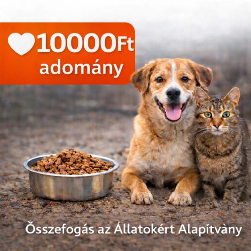 Adomány 10000FT