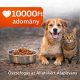 Adomány 10000FT