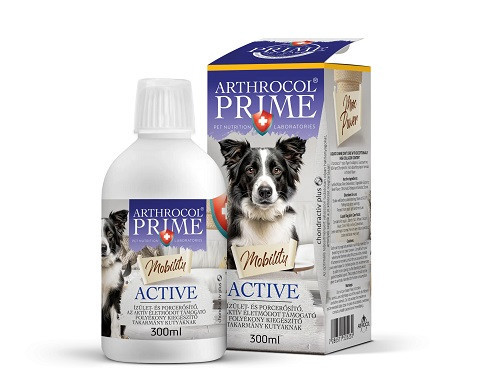 Mobility Active kollagénnel dúsított ízületvédő tápkiegészítő kutyáknak 300ml