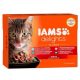Iams Cat Delights LAND&SEA IN JELLY multipack, többféle íz, zamatos aszpikban 12x85g