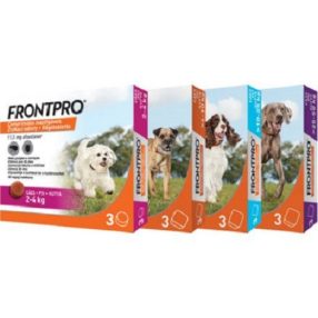 FrontPro Rágótabletták