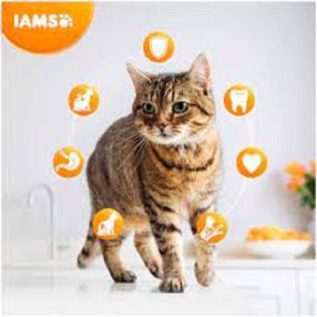 Iams