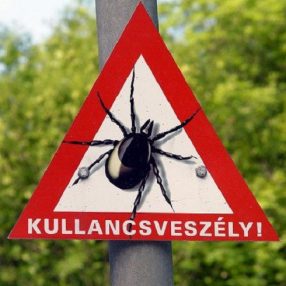 ÉLŐSKÖDŐK ELLENI KÉSZÍTMÉNYEK,KULLANCS BOLHAÍRTÓ SZEREK